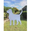 DCentral Medium Size Dog Flexible Screen Magnet Double-Sided. Safety White-Easier