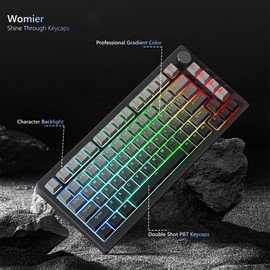 Womier Shine Through PBT Keycaps 60 75 100 Percent Cherry Profile, Custom Key Cap Doubleshot Keycaps Set, Universal Compatiability for Cherry Gateron MX Switches Keyboard, Gradient Gray