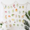 OJYUDD Fishing Net Decor, Fishnet Decor, Mediterranean Style Photographing Decoration,
