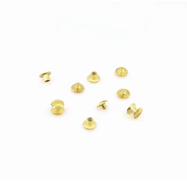 KLEBASTO Book Screws | Book Binding Screws for Books, Menus, Brochures | Belt Screws | Book Rivets for Screwing (Brass-Plated, 2 mm | Pack of 100)