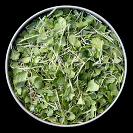 Whole Food Microgreens - US Grown, Small Batch, Nutritional Booster - Broccoli Booster- Nrf Activation - 12g