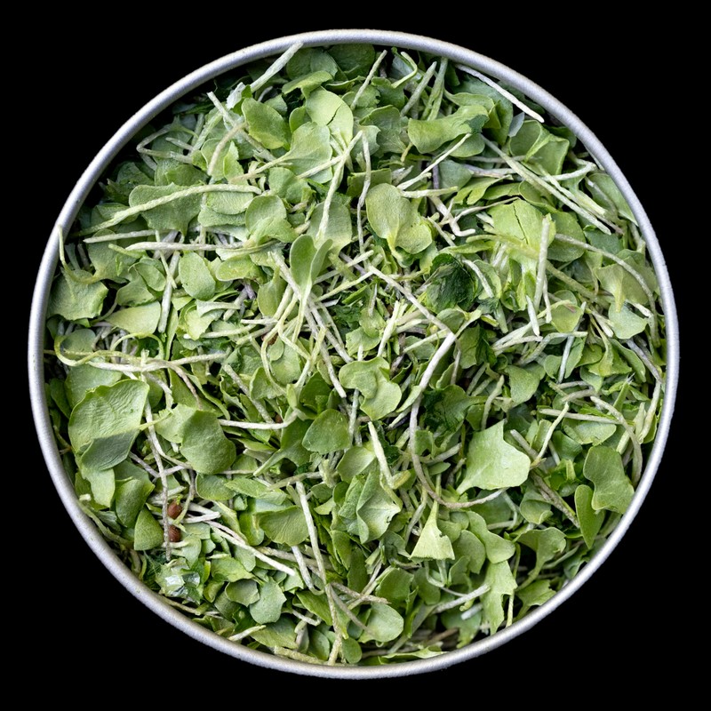 Whole Food Microgreens - US Grown, Small Batch, Nutritional Booster