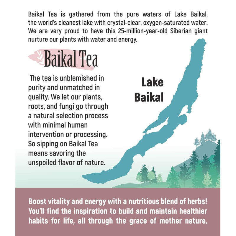 Chaga Tea - 100% Wild Siberian Birch Chaga Mushroom -