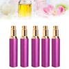 5pcs Travel Spray Bottles Eletrolytic Aluminium 12ml Refillable Perfume Bottles