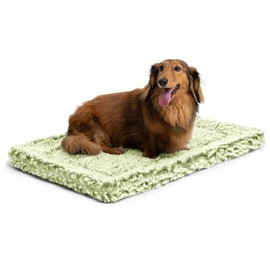 PELZIN Stoutwool Indestructible Dog Bed - Fluffy Chew Proof Dog Crate Pad - Tough Kennel Pad for Aggressive Chewers - Washable, Ideal for Small Breeds & Fits 24-Inch Crate - 23"x16", Gleam