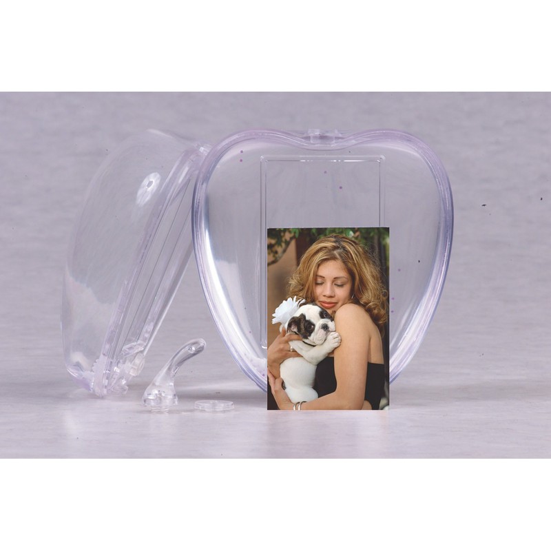 Neil Enterprises Inc. Apple Photo Snow Globe - Holds 2