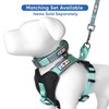 Pawtitas Adjustable Padded Dog Collar a Reflective Puppy Collar -