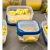 KETER Retractable Containers, Plastic (100% Recycled Polypropylene), Dark Blue, Eco