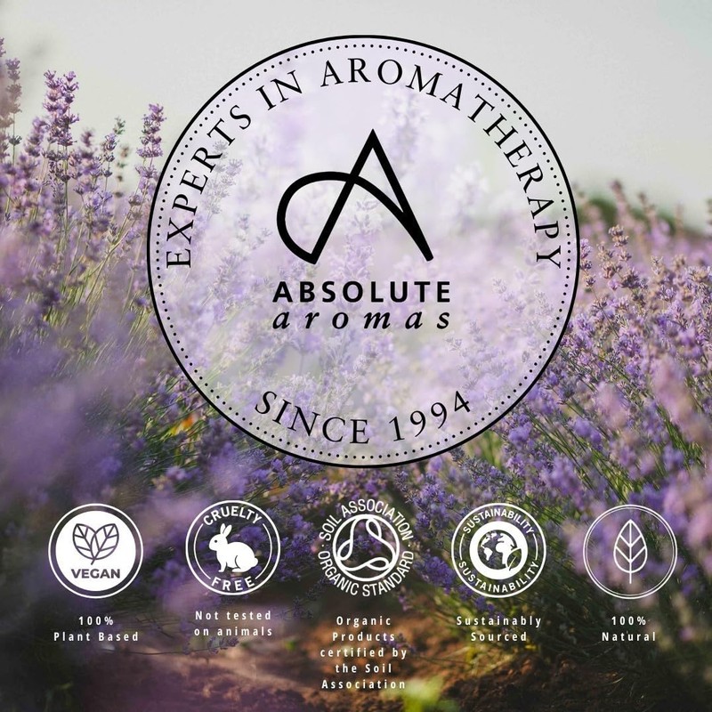 Absolute Aromas Rose Absolute 5% Dilution 10ml - Pure Rose