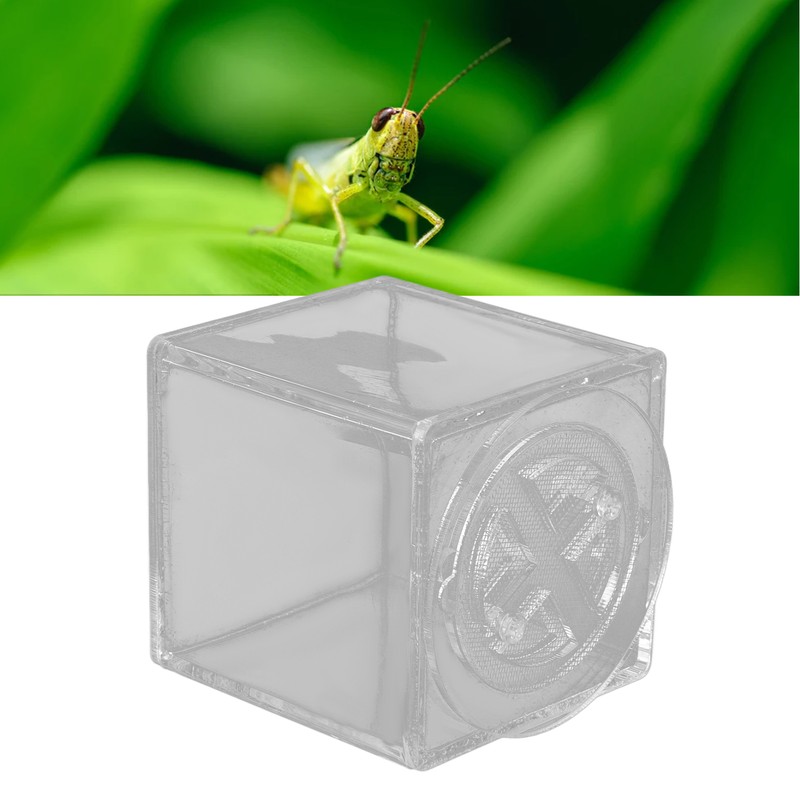 Square Insect Breeding Box Cricket Spider Reptile Insect Square Acrylic