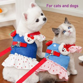 ANIAC Denim Dog Dress Harness with Leash Set Cute Small Dogs Clothes Girl Heart Patterns Puppy Dresses Breathable Mesh Cat Harness Leash Strawberry Chihuahua Yorkie Outfit (Pink Heart, Small)