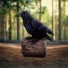 Nemesis Now Ravens Cry Figurine – Motion-Activated Black Raven on