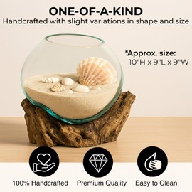 Cape Craftsmen 10" H Hand-Blown Blue Tinted Bubble Glass On Natural Teak Driftwood Terrarium | Home Décor Indoor Planter with Stand | Pot for Succulent and Plants