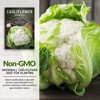 Snowball Cauliflower Seed for Planting - 2 Packets with Instructions