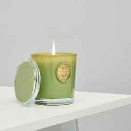 M&SENSE Luxury 10.2 oz Soy Jar Candle | Eucalyptus Sage Scented | 55 Hour Burn | Elegant Aromatherapy Candle Gift for Women and Men