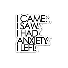 (3pcs) I Came I Saw I Had Anxiety I Left Sticker - Funny Introvert Sticker - Funny Sticker - Anxiety Sticker - Durable & Waterproof - Perfect for Laptops Water Bottles Car - Ideal for Gifting