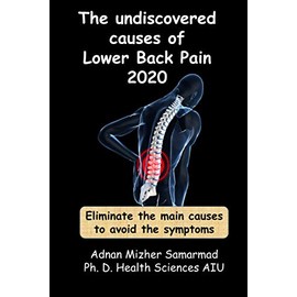 The undiscovered causes of Lower Back Pain 2020: Eliminate the main causes to avoid the symptoms