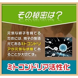 妊活 Supplement (Mitochondria Supplements for Men) 120 Grain