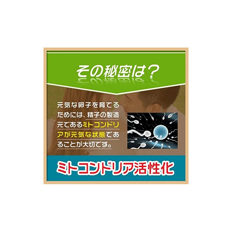 妊活 Supplement (Mitochondria Supplements for Men) 120 Grain