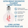 Festive Living LED Flamingo Decorative Filament Light Bulb, G80 Globe,