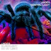 7 x 16 ft Giant Spider Halloween Garage Door Decorations