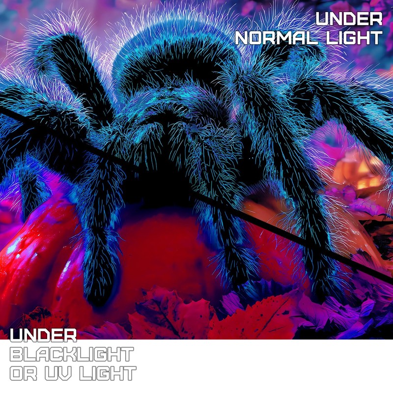7 x 16 ft Giant Spider Halloween Garage Door Decorations