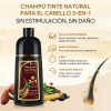 Kaisasa Shampoo Con Tinte Cubre Canas Natural Jengibre