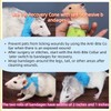 MANON ROSA Hamster Recovery Cone-E Collar & 2Pcs Self-Adhesive Bandages
