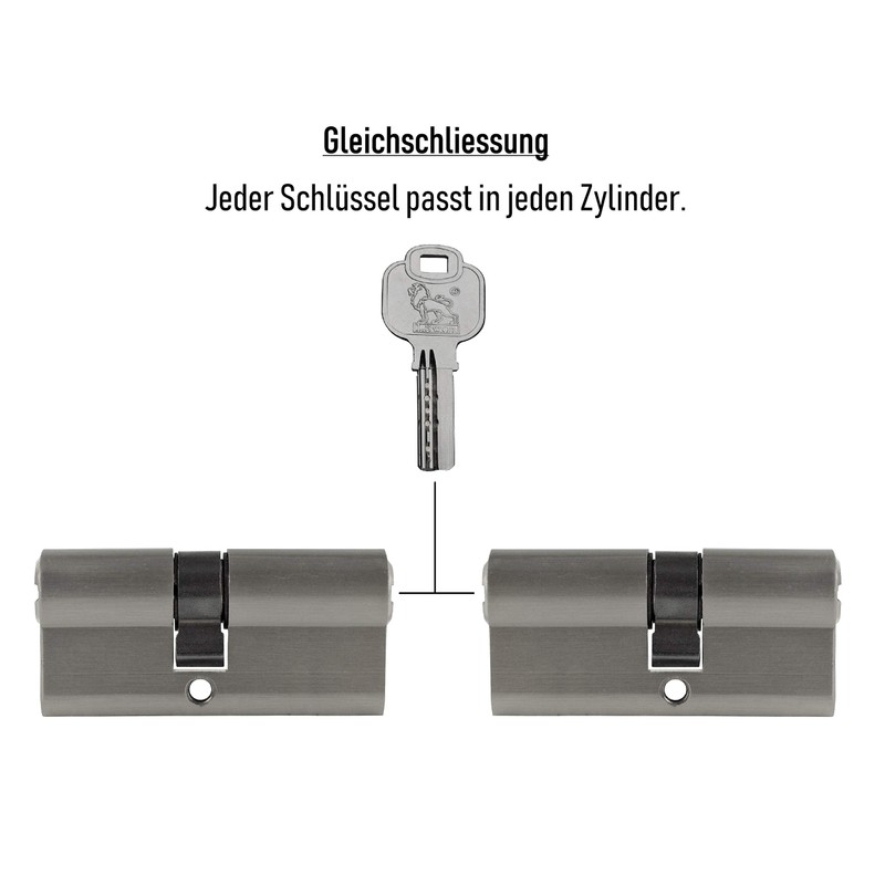 2x Profile Cylinder 65 mm 30/35 Keyed Alike Emergency and