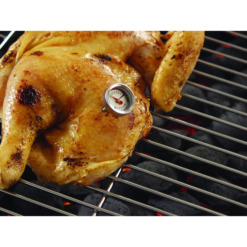 Charcoal Companion Reusable Poultry Button