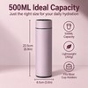 500ml Temperature Display Thermos Cup for Drinks – Stainless Steel