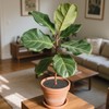 Qiuruoo 3 Pcs Plant Pot Cover, Plant Covers from Animals,