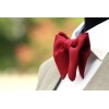 Camellucci Men's Self tied Bow Tie Maroon Silk Butterfly Bowtie