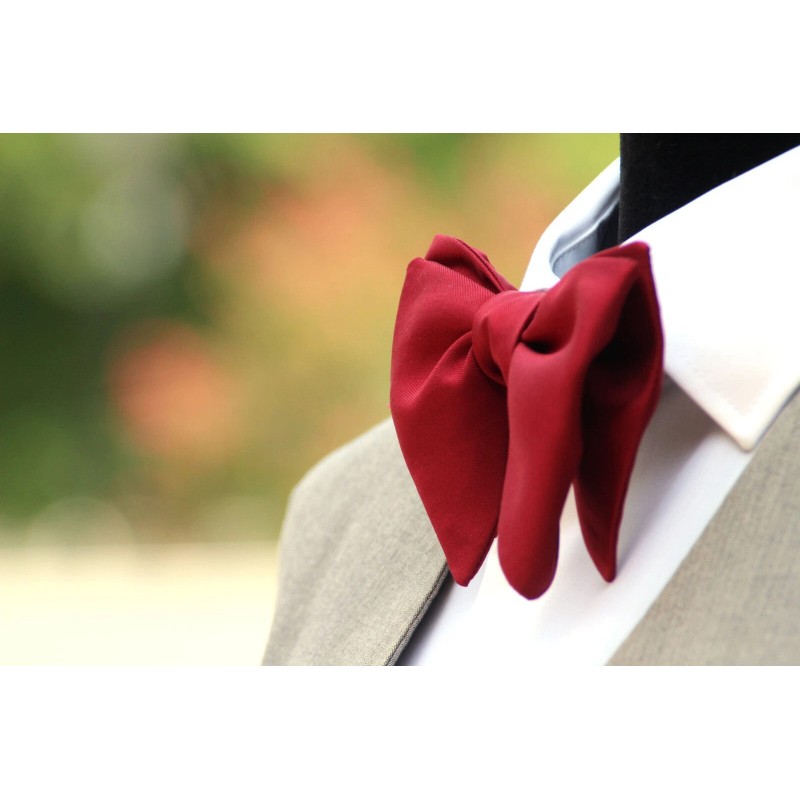 Camellucci Men's Self tied Bow Tie Maroon Silk Butterfly Bowtie
