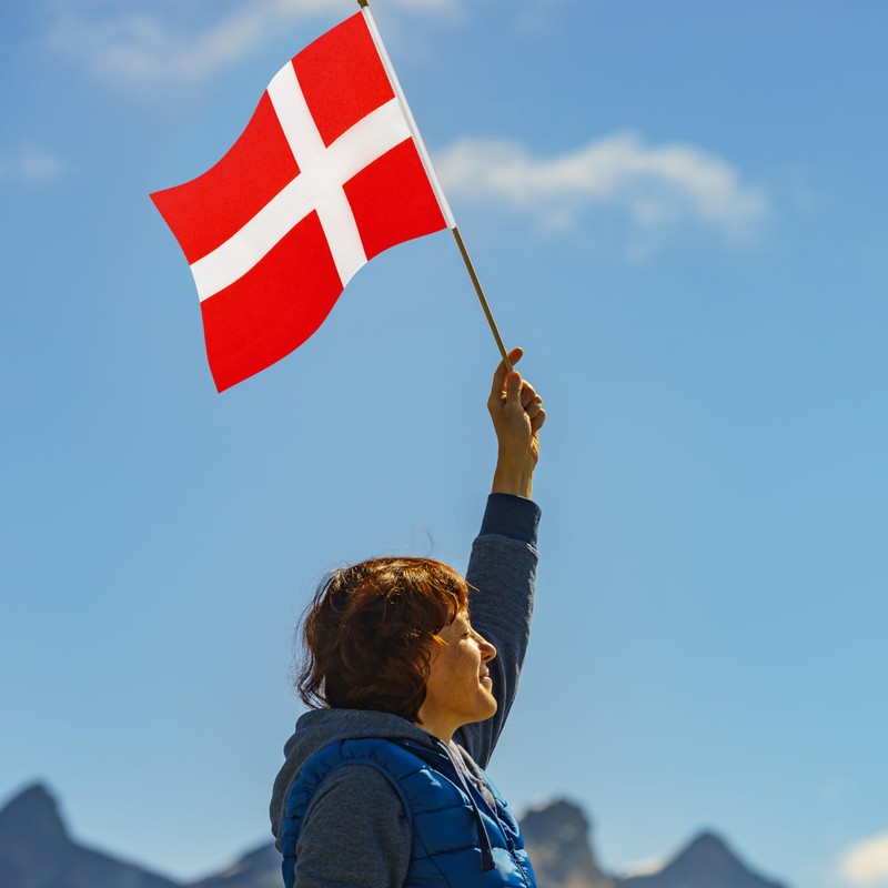 LoveVC 12Pcs 8×12 Inch Denmark Flags Small Danish Flag on
