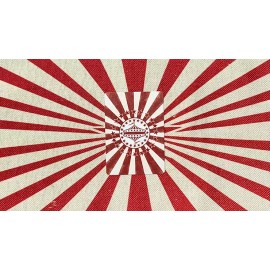 Murphy's Magic Bicycle Circus Nostalgic Playing Cards