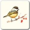 Garden Birds Melamine Coasters - Mixed Set 2, Pack of
