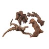 4 Pack of Natural Driftwood Aquarium sinkueiburu Driftwood Aquarium Decor