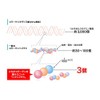 Collagen Tripeptide Premium 20 Stick Type 0.1 oz (4 g),