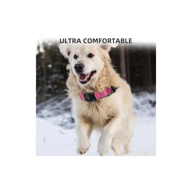 Collar para Perros Impermeable IP68 Mejorado con Soporte para AirTag