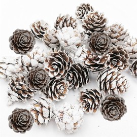 fypuda 160 PCS Mini Snow Pine Cones Christmas Pine Cones Thanksgiving Pine Cones Bulk White Christmas Small Tiny Pinecones Ornaments for Home Decoration DIY Crafts Wedding Xmas Tree Fall Winter Decor