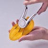 Fruit Slicer Cutter, Mango Splitter with Stainless Steel Blade, Fruit
