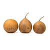 Box of 3 Dried Cannonball Gourds - 5" Diameter, Ready