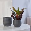 Ivyline Esra Flower Pot Diameter 13 cm Round Ceramic Indoor