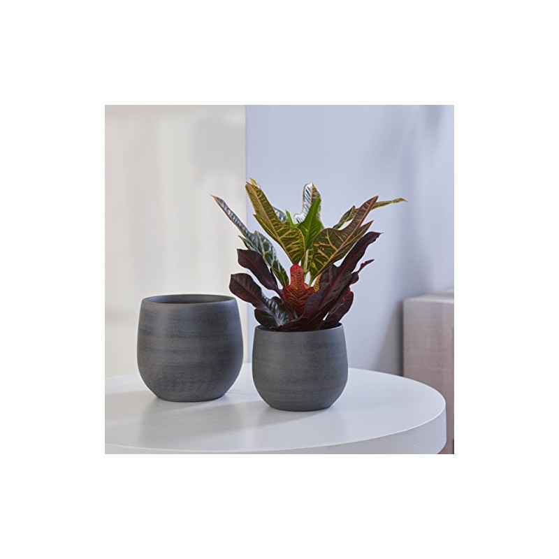 Ivyline Esra Flower Pot Diameter 13 cm Round Ceramic Indoor