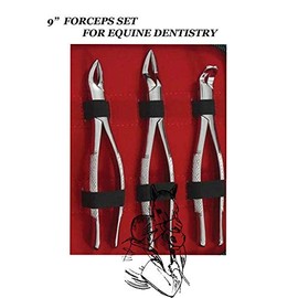 Equinez Tools 9" Forceps Set of 3 PCS, Hand Crafted, Stainless Steel, Dental,Equine