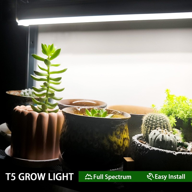 F24T5/865 6 Pack 22 Inch T5 Fluorescent Grow Light Bulbs,