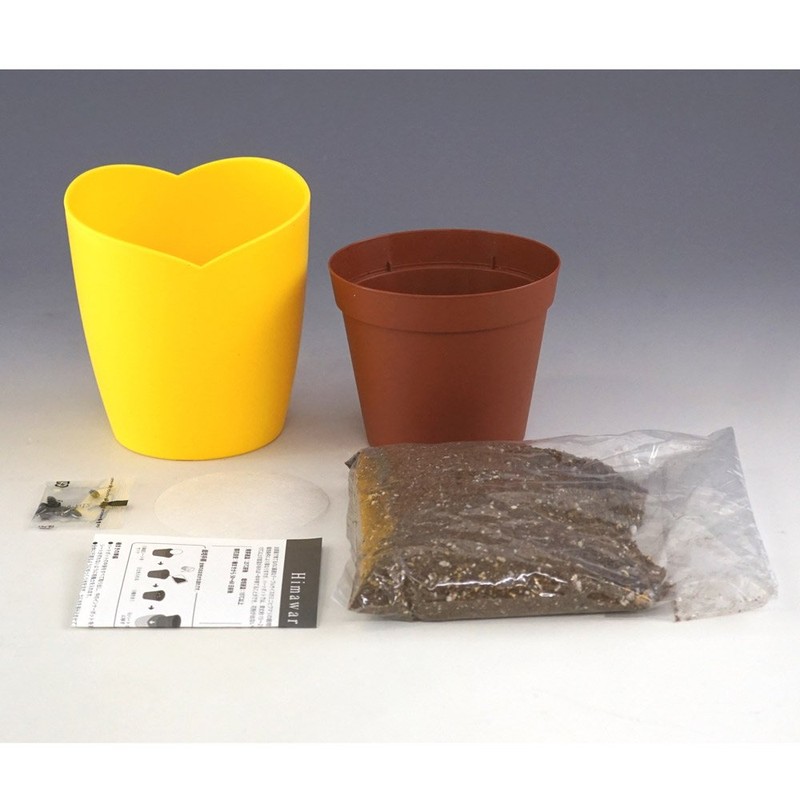 Seishin Pottery Mini Sunflower Cultivation Set