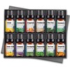 Organic Essential Oils Set of 12 - Natural Relaxation for