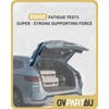 GVPART4U Power Liftgate Struts Fit for Ford Explorer Ford Police
